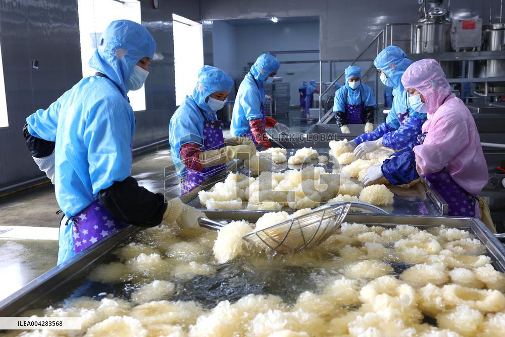 China Largest Commercial Production Base For Edible Fungi