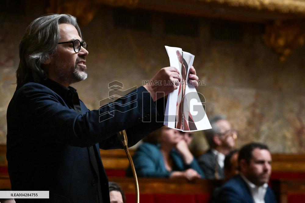 Action for Palestine during questions to the government at the National Assembly in Paris FA