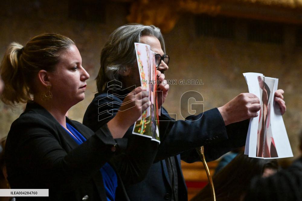 Action for Palestine during questions to the government at the National Assembly in Paris FA