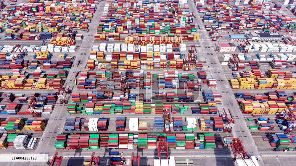 2025 Q1 Shandong Ports Business Growth