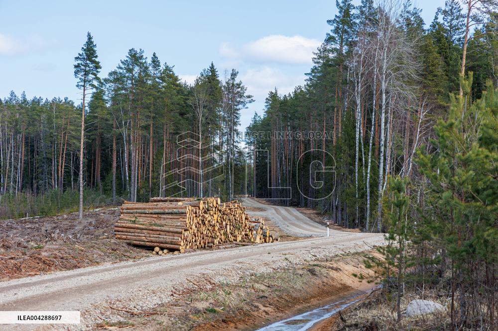 Future location of Herro wind farm