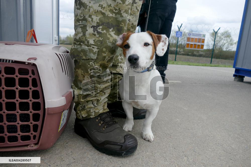 New checkpoint opened on Ukraine-Hungury border