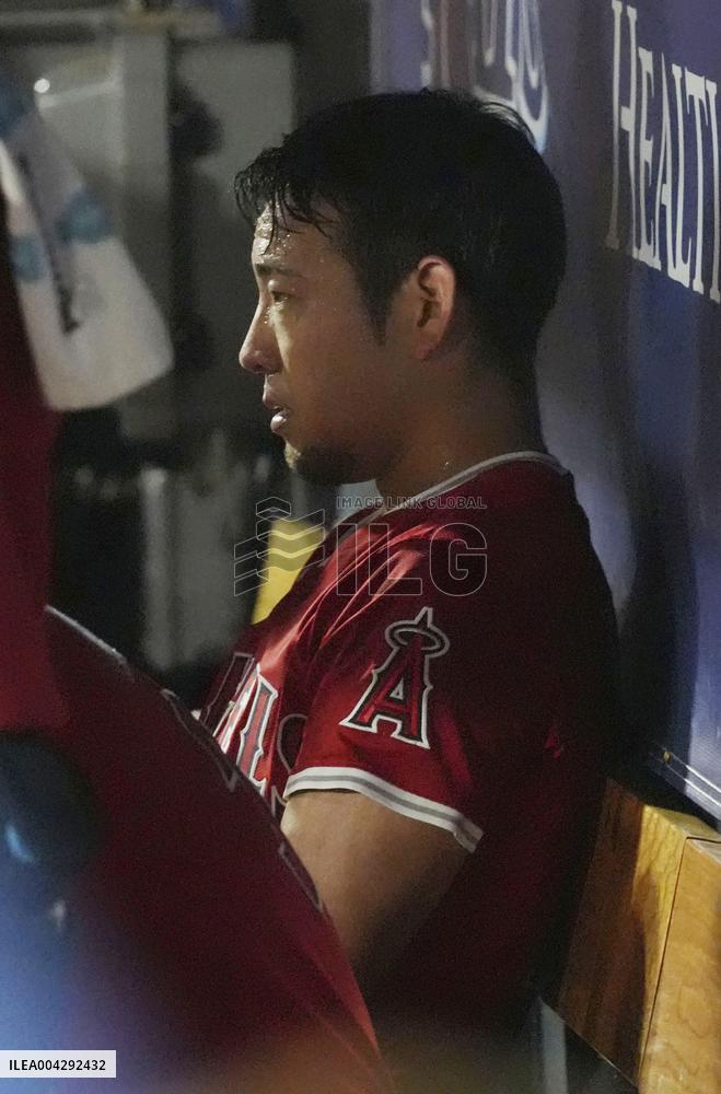Baseball: Angels vs. Rays