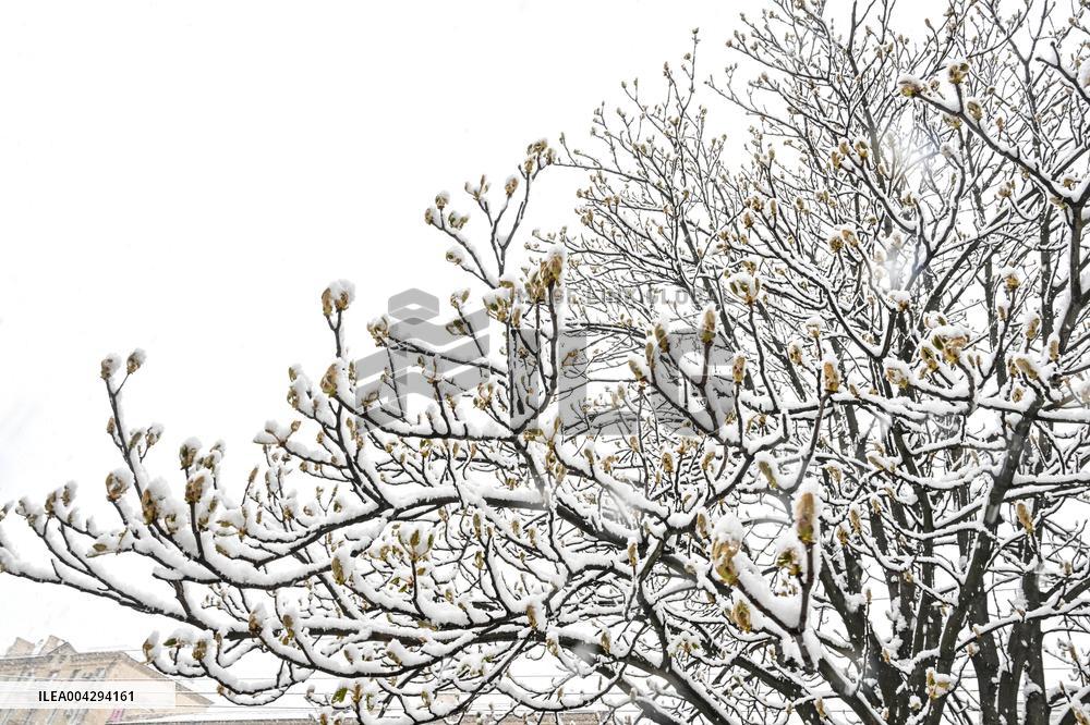 Snowfall hits Zaporizhzhia in April