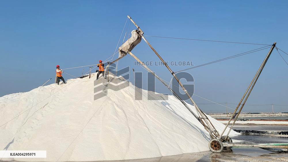 Salt Field