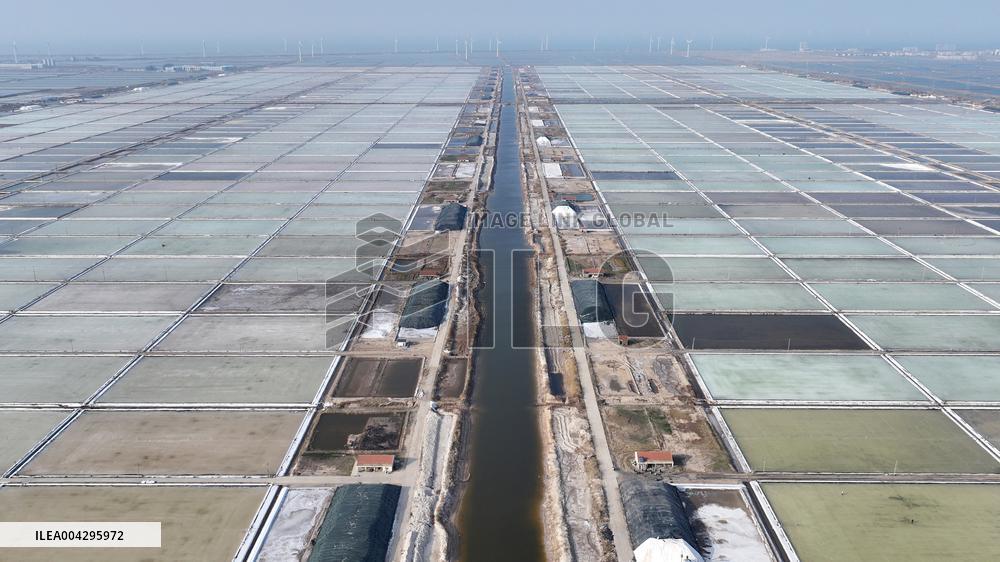 Salt Field