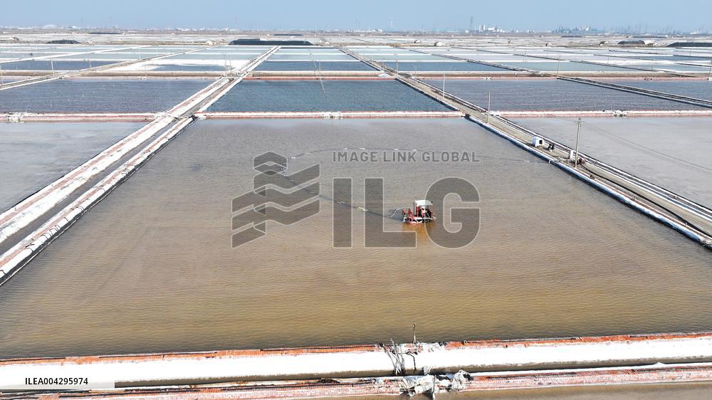 Salt Field