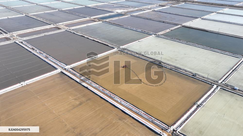 Salt Field