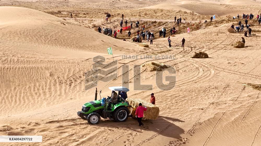 Green Desert Construction in Zhangye