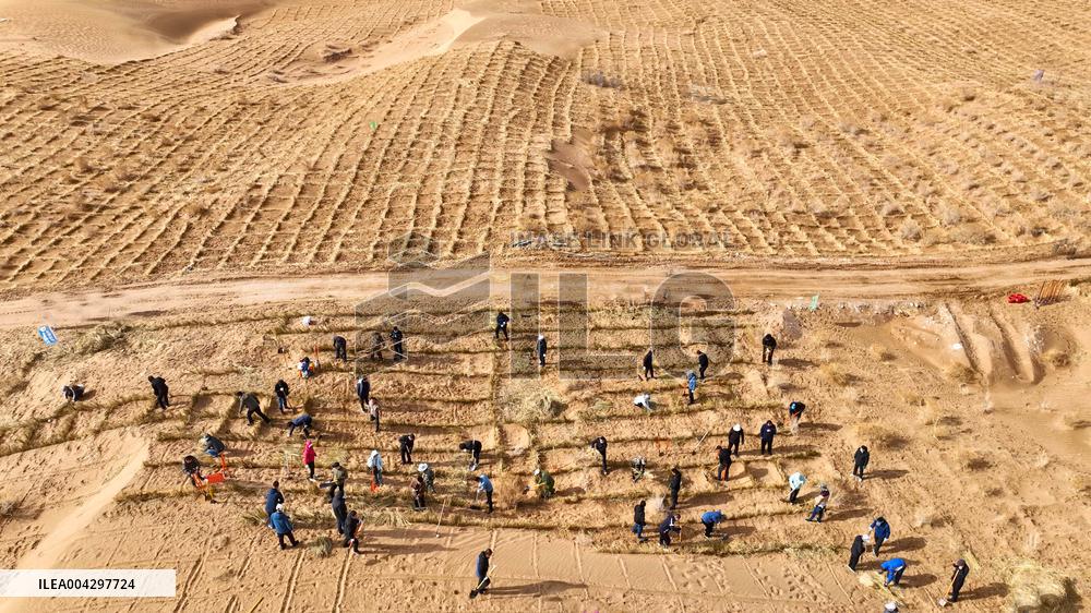 Green Desert Construction in Zhangye