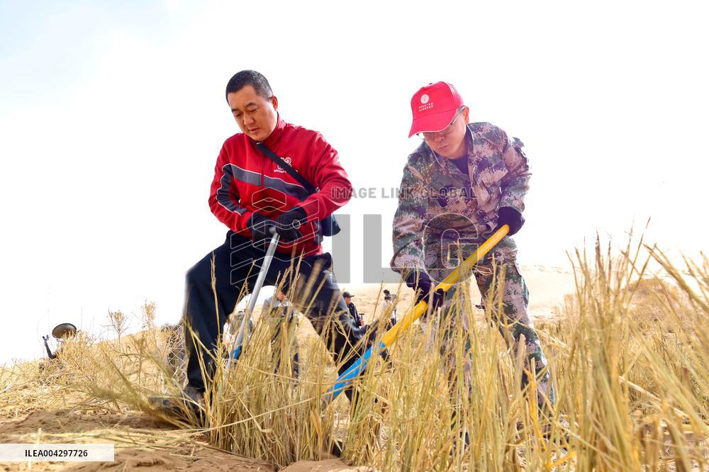 Green Desert Construction in Zhangye