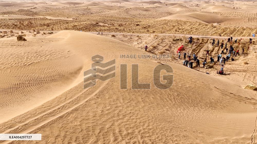 Green Desert Construction in Zhangye