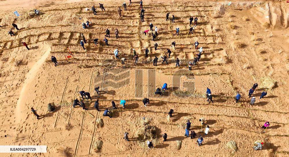 Green Desert Construction in Zhangye