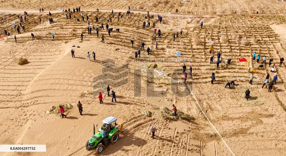 Green Desert Construction in Zhangye