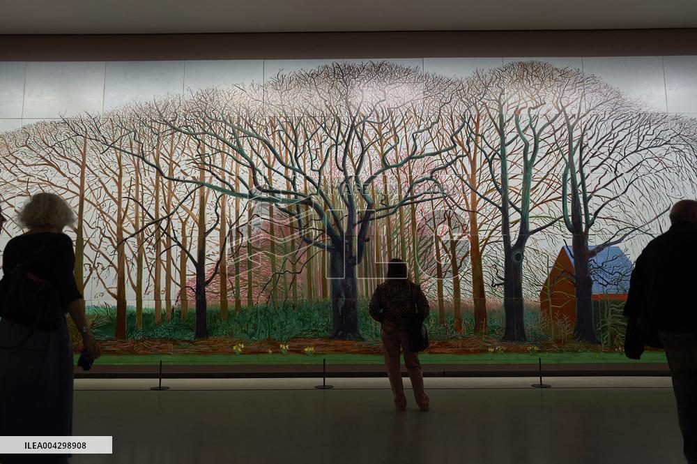 David Hockney Exhibition at Fondation Louis Vuitton - Paris
