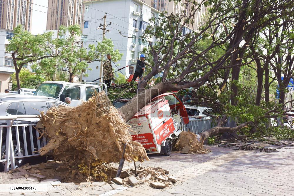 Strong Wind Orange Alert ? in China