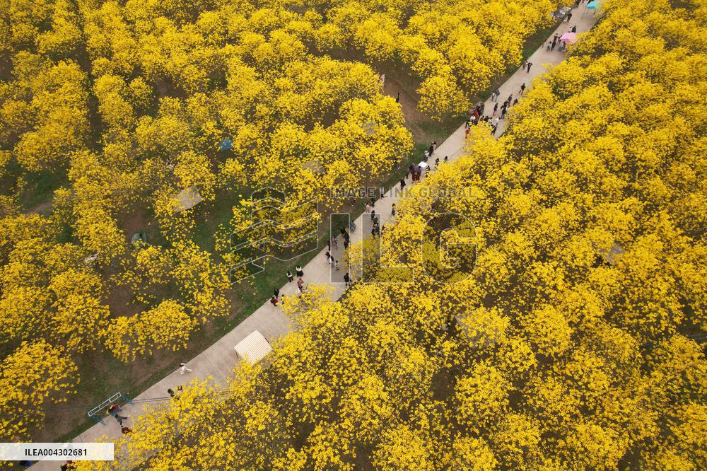 Spring Tour in Longchang