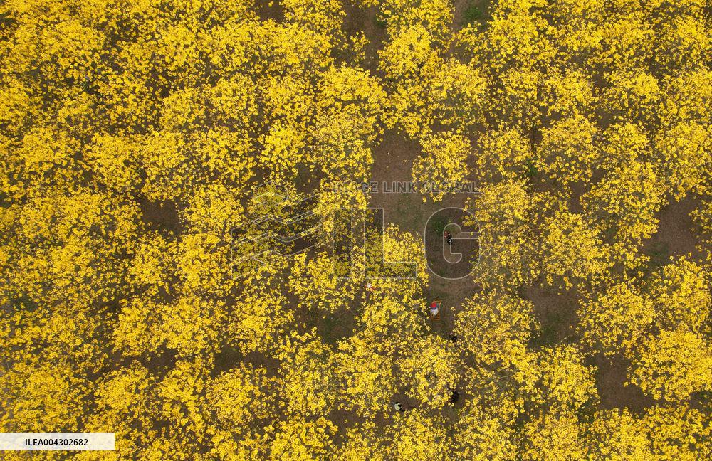 Spring Tour in Longchang