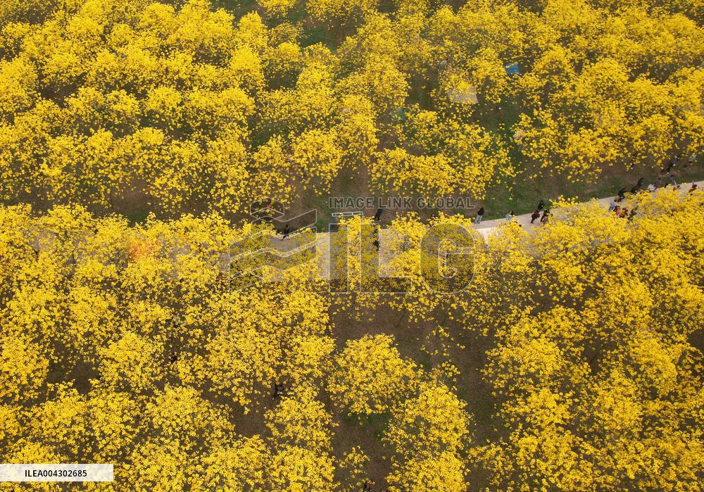 Spring Tour in Longchang