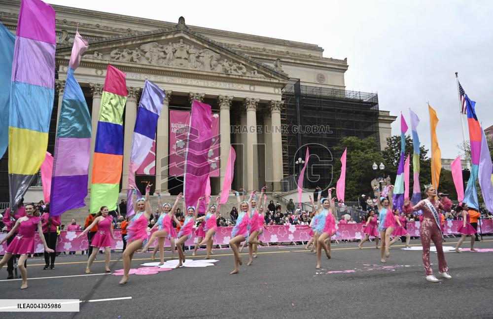 Cherry blossom festival in Washington