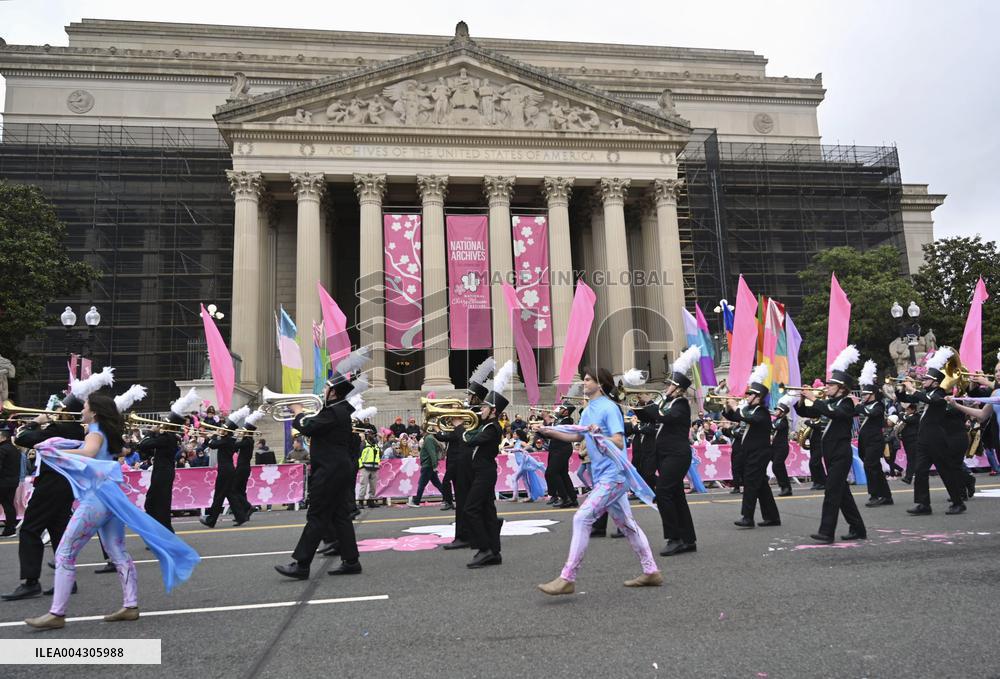 Cherry blossom festival in Washington