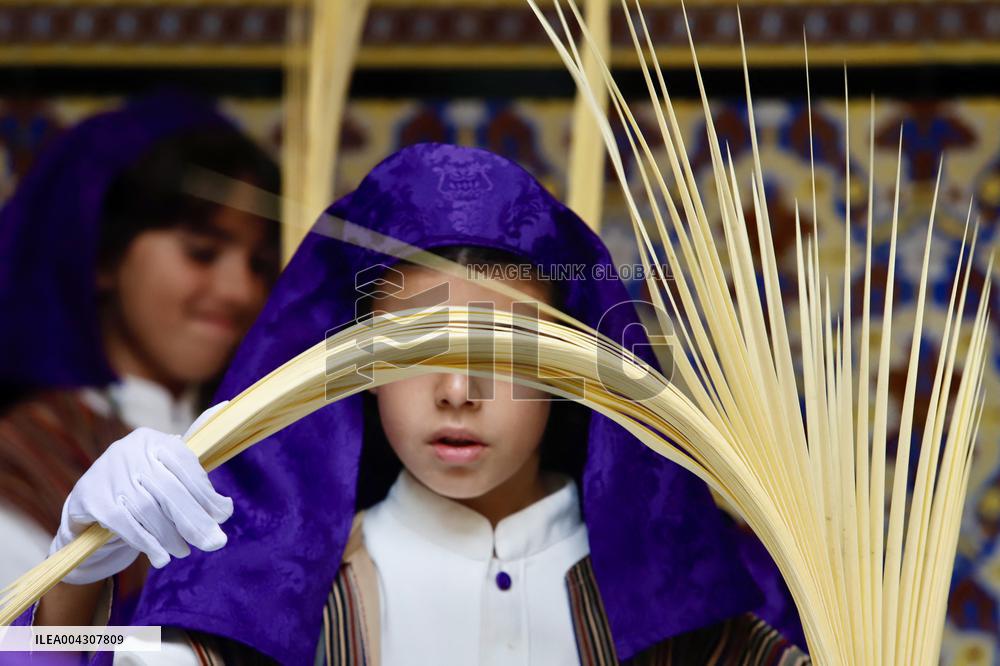The Brotherhood Of The Pollinica Processions - Malaga