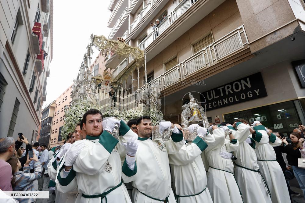 The Brotherhood Of The Pollinica Processions - Malaga