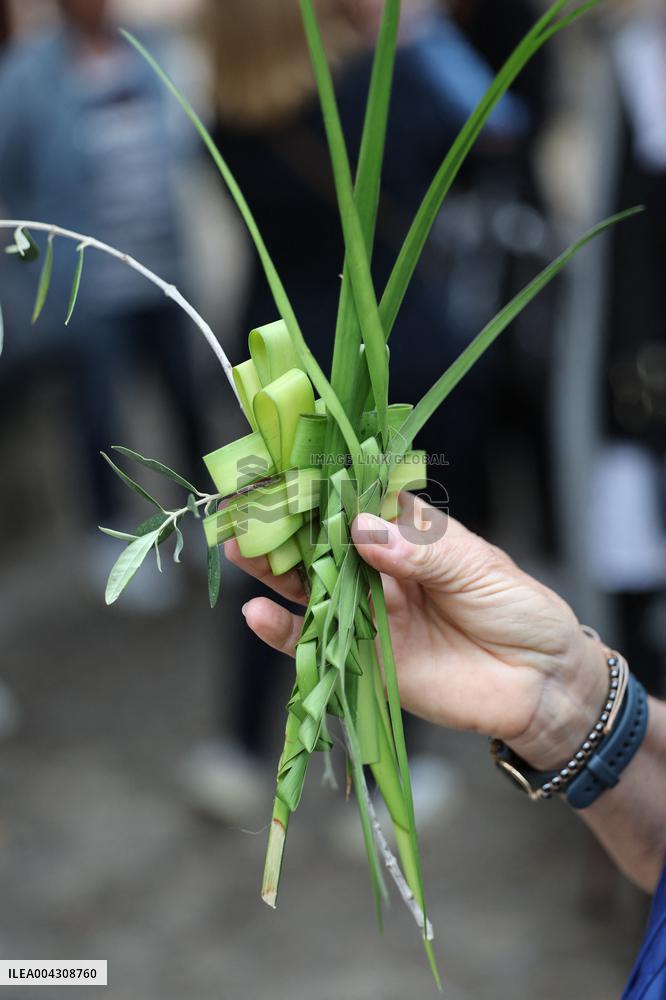 Christian Blessing Ceremony Of Branches In Calvi