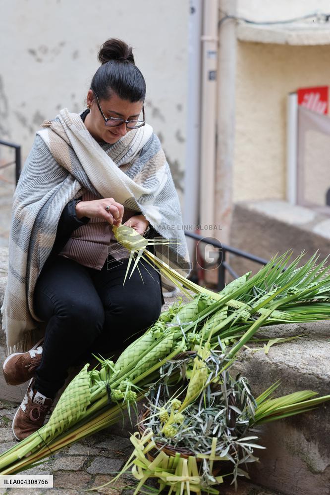 Christian Blessing Ceremony Of Branches In Calvi