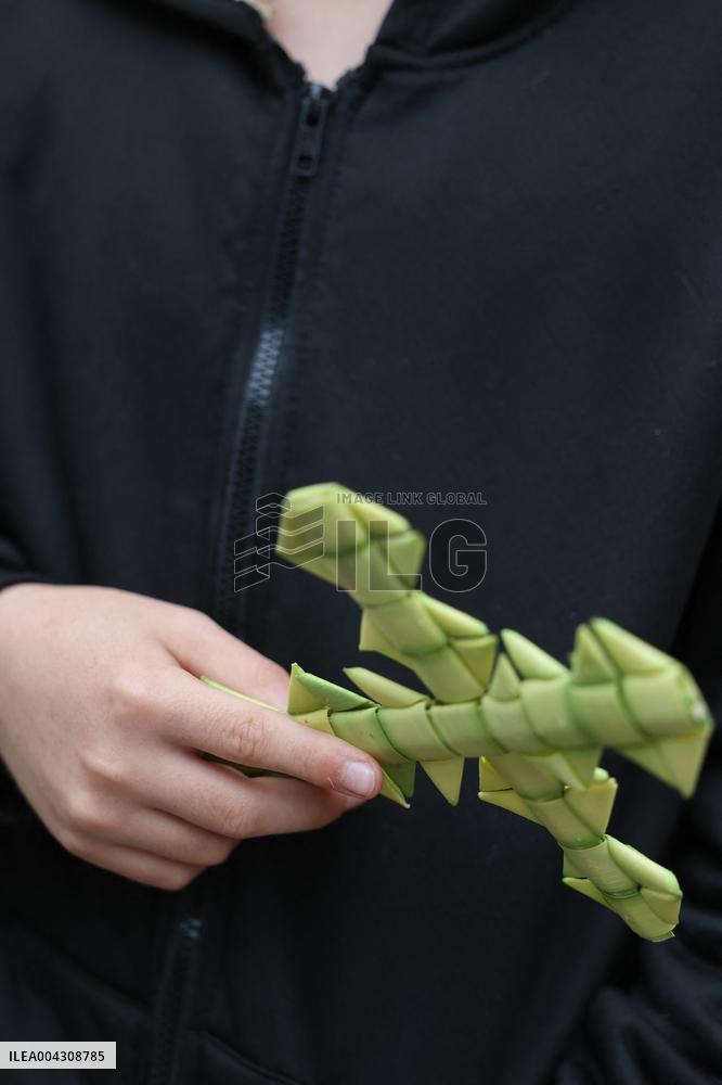 Christian Blessing Ceremony Of Branches In Calvi