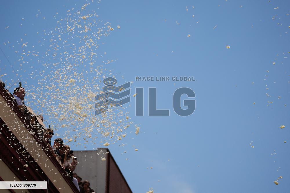 Brotherhood Of Peace Procession For Palm Sunday - Seville