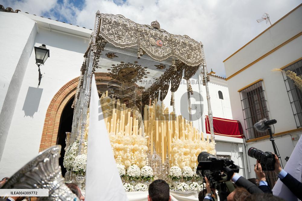 Brotherhood Of Peace Procession For Palm Sunday - Seville
