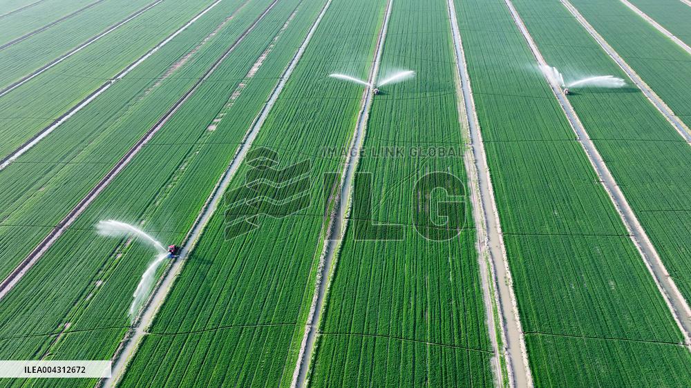 Smart Agriculture