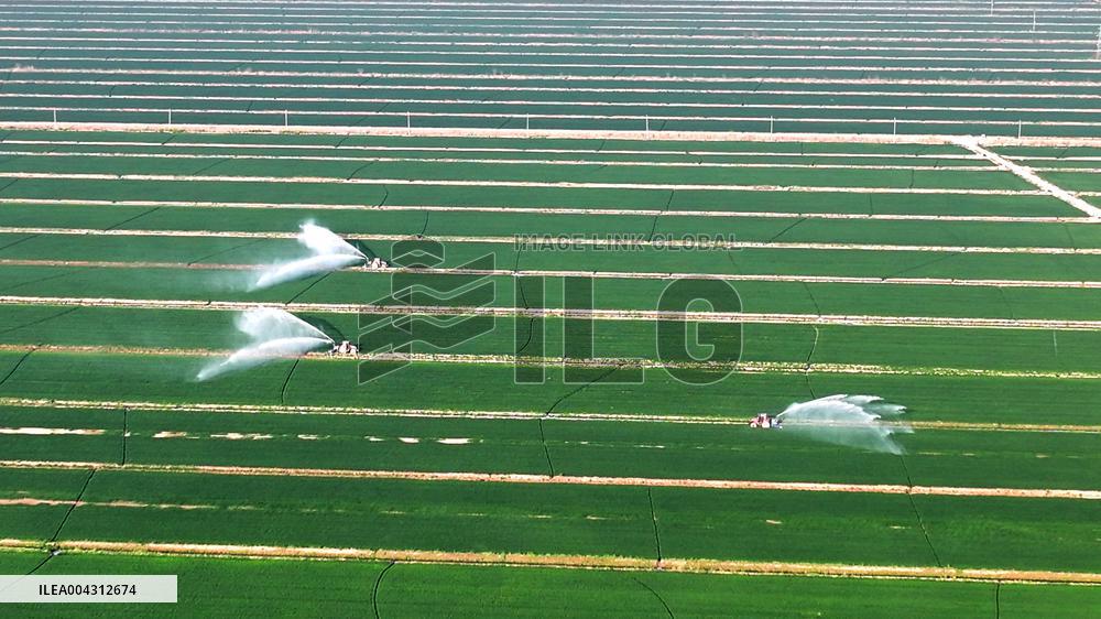 Smart Agriculture
