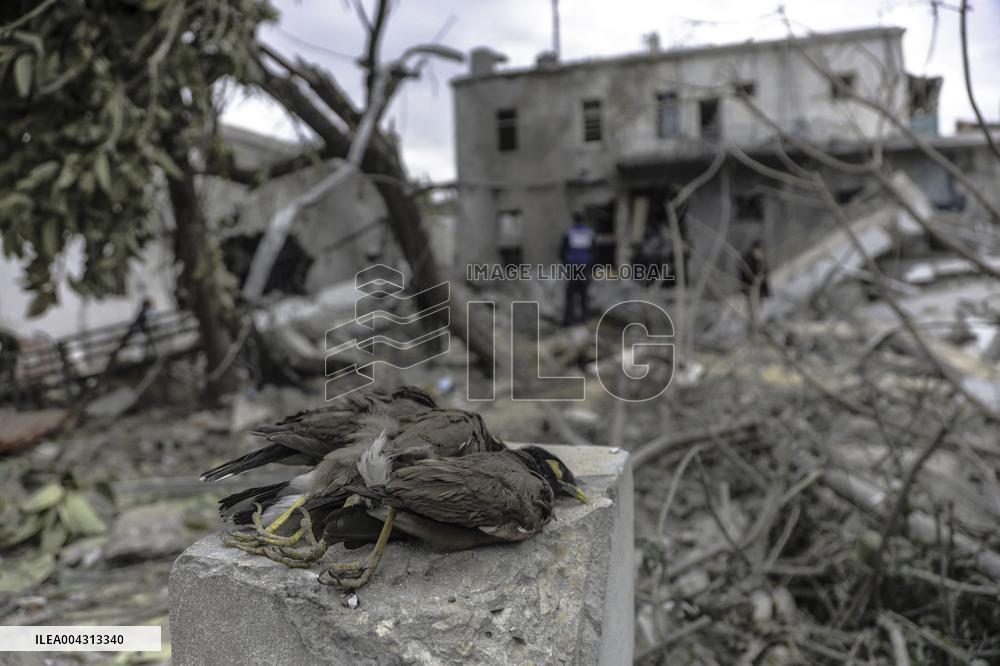 Strikes on Gaza Baptist Hospital