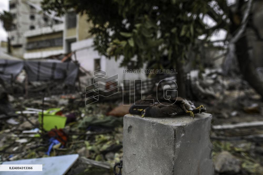 Strikes on Gaza Baptist Hospital