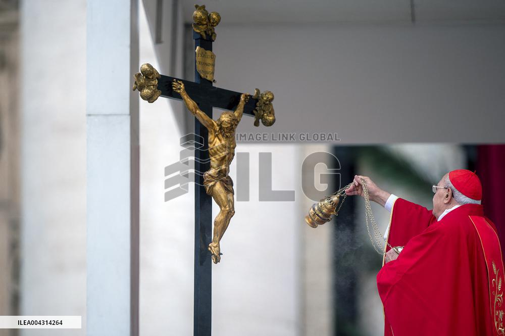 Palm Sunday Celebration in Vatican