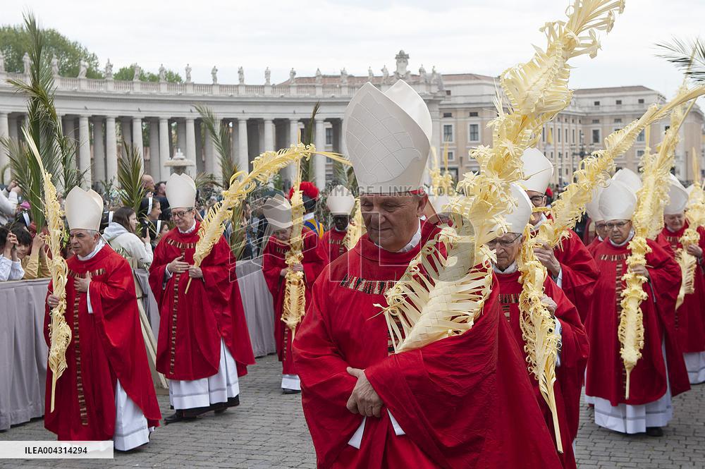 Palm Sunday Celebration in Vatican