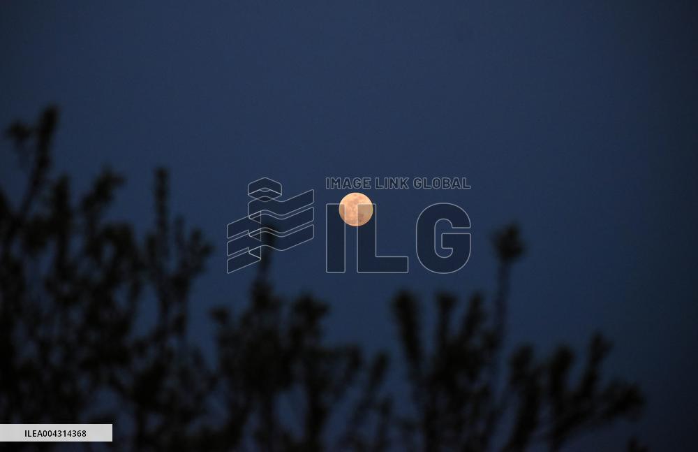 Full Pink Moon Over Kashmir
