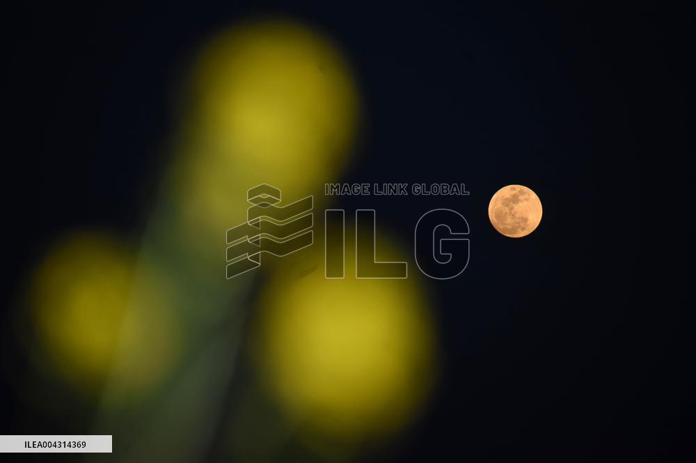 Full Pink Moon Over Kashmir