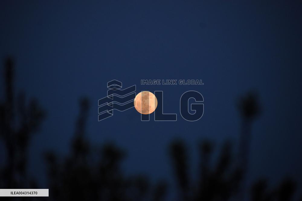 Full Pink Moon Over Kashmir