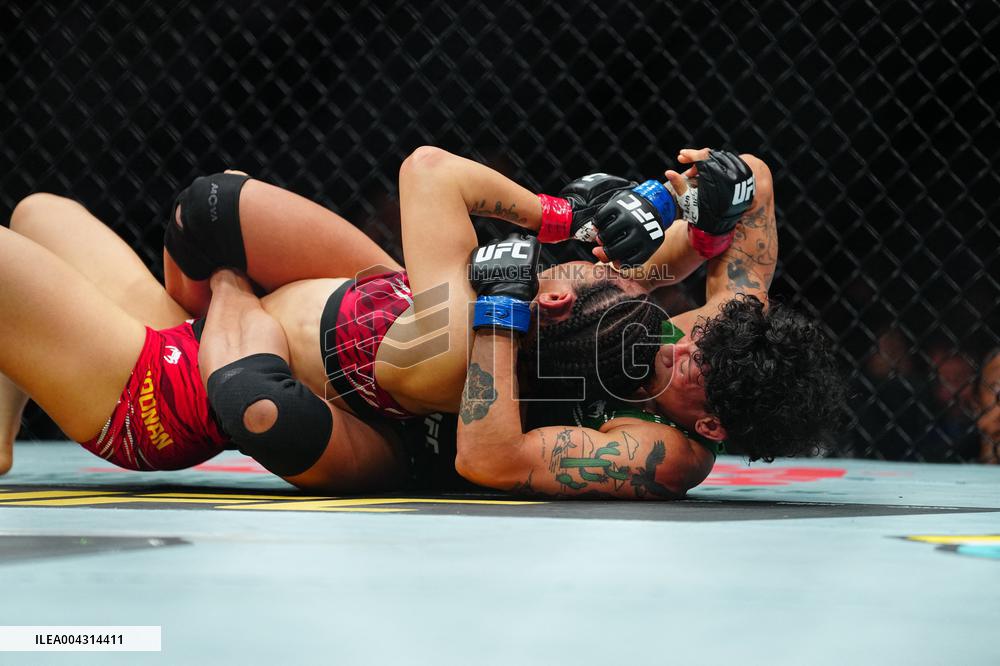 UFC 314 - Volkanovski vs Lopes