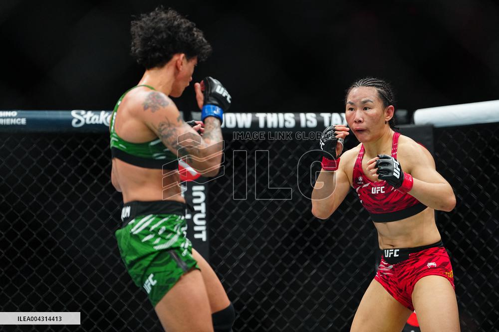 UFC 314 - Volkanovski vs Lopes