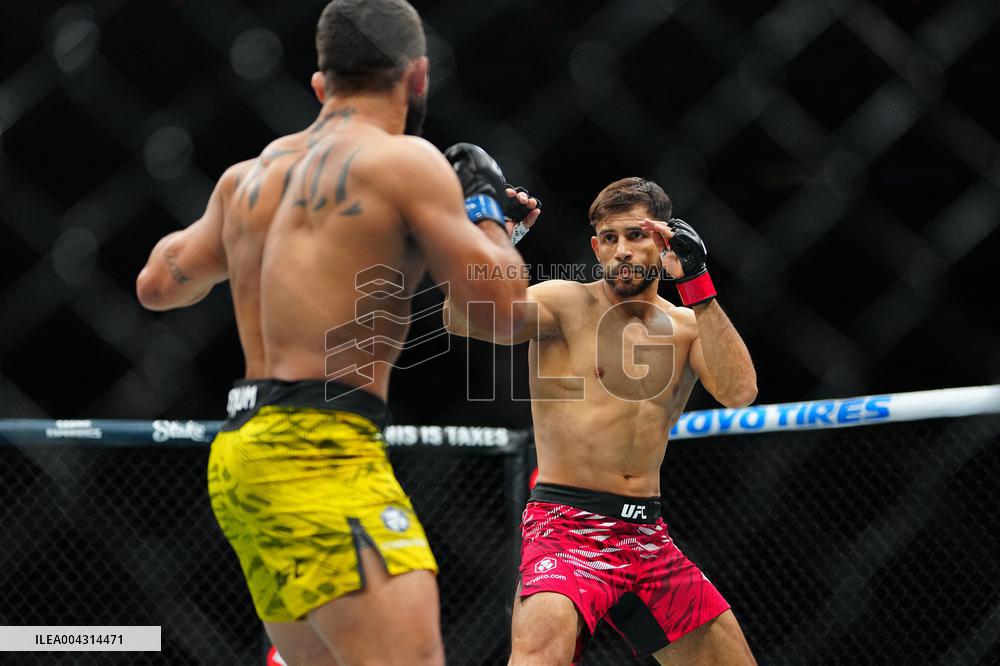 UFC 314 - Volkanovski vs Lopes