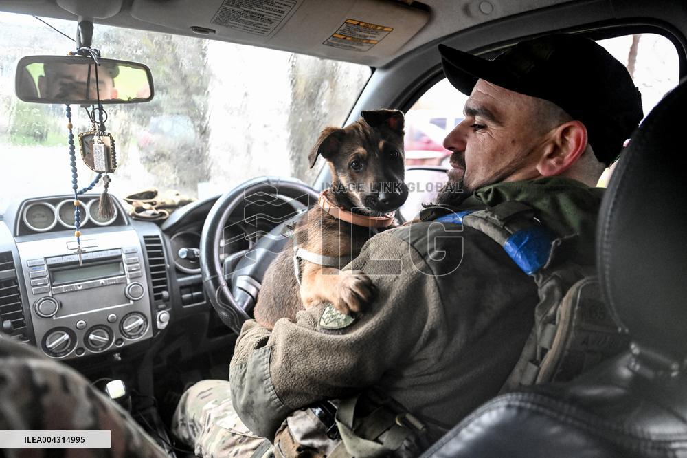 Ukrainian brigade fighting in Zaporizhzhia direction gets ground drone