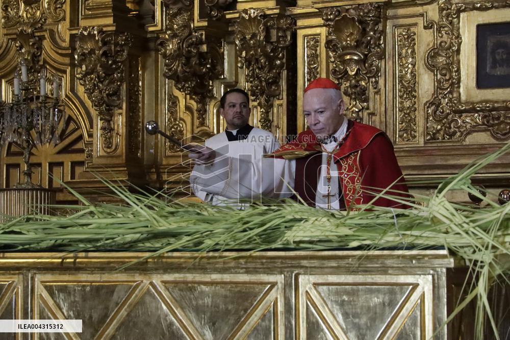 Palm Sunday Celebration In Mexico