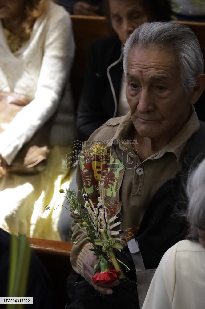 Palm Sunday Celebration In Mexico