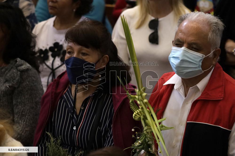Palm Sunday Celebration In Mexico