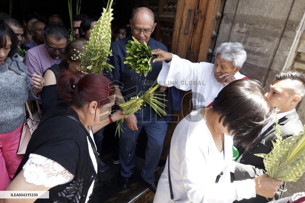 Palm Sunday Celebration In Mexico