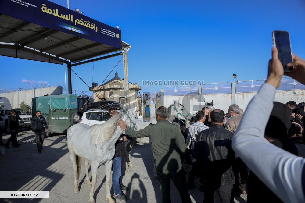 Spanish Muslims retrace 500-year-old pilgrimage route to Mecca on horseback arrive in Syria